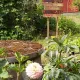 Open Gardens 2026