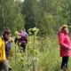 Introduction to Permaculture Course in Finnish 2026