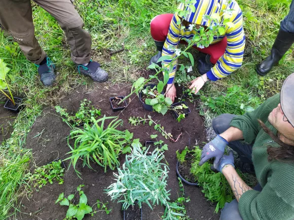 Planting a Food Forest during the PDC at Beyond Buckthorns Planting a Food Forest during the PDC at Beyond Buckthorns